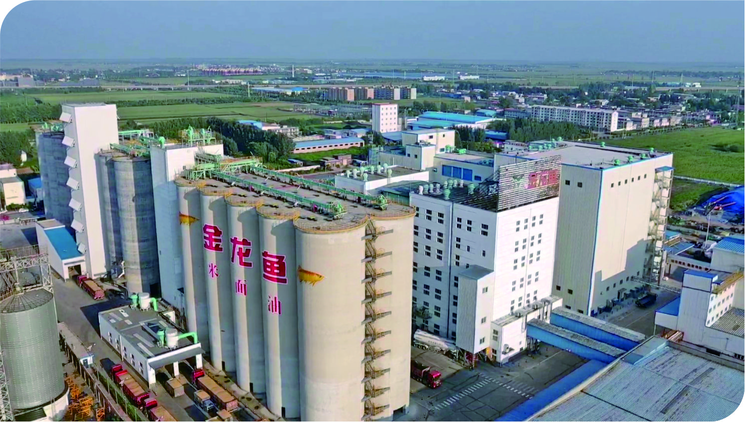 華泰承建益海嘉里油脂設(shè)備項(xiàng)目