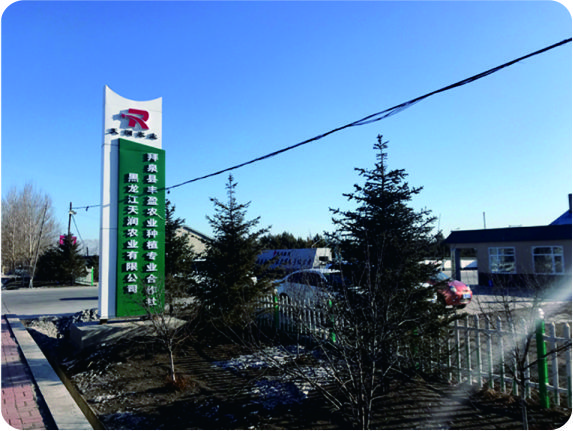 黑龍江天潤(rùn)200噸/天大豆榨油、30噸/天精煉生產(chǎn)線(xiàn)