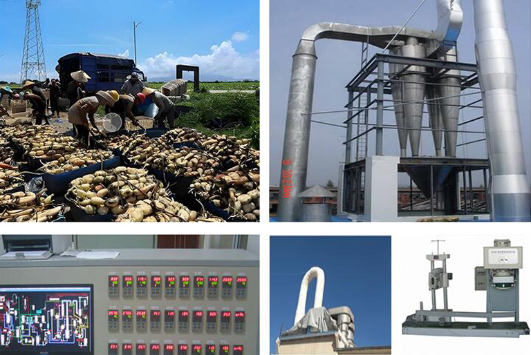 藕粉成套加工設(shè)備